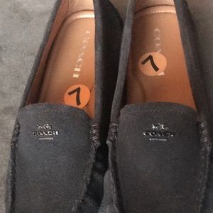 New Dark Brown Coach Suede Loafers